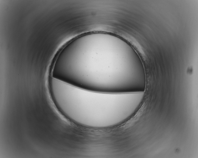 X0000103150991200808221124
