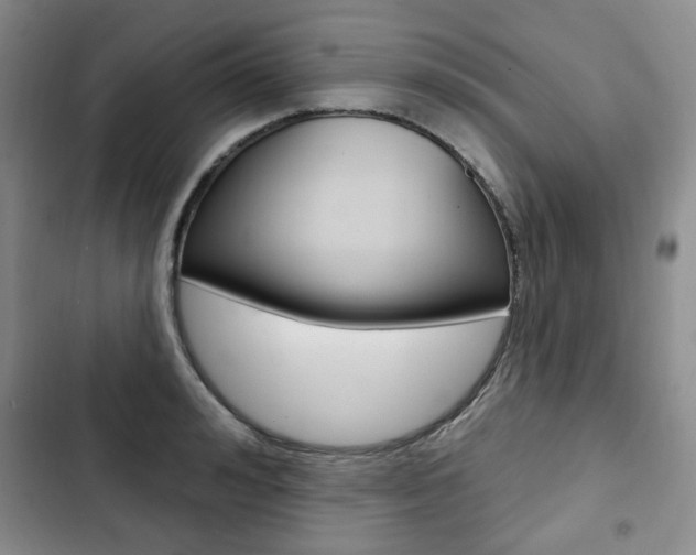X0000103150992200808221124