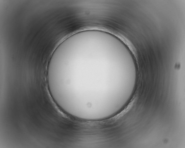 X0000103150993200808221124