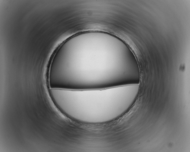 X0000103150995200808221124