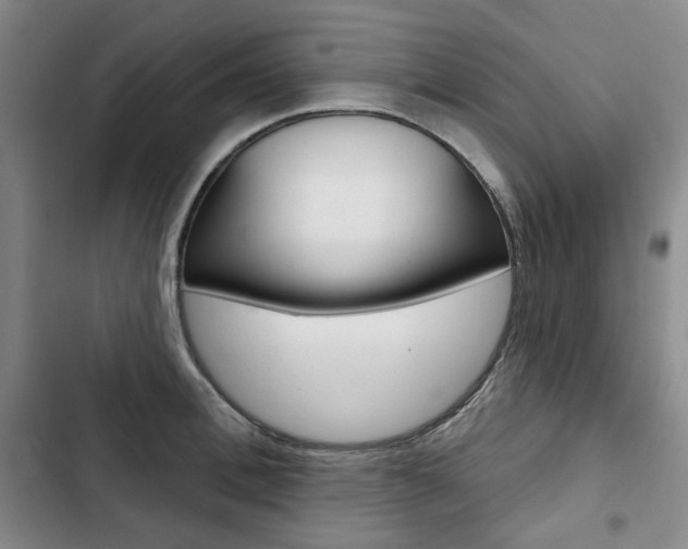 X0000103150996200808221124