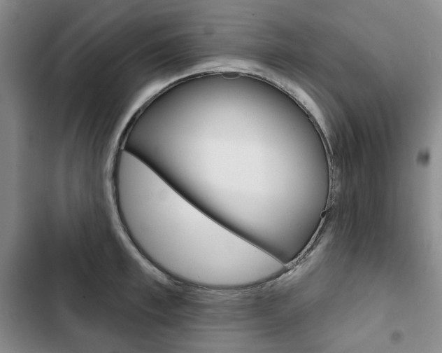 X0000103150997200808221124