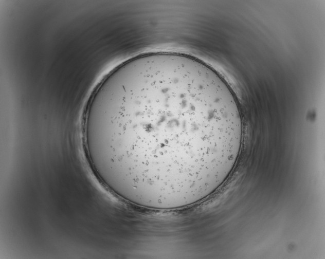 X0000103150998200808221124