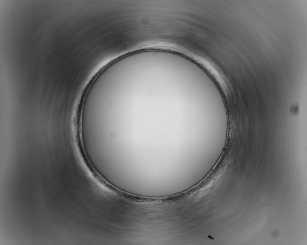 X0000103150999200808221124