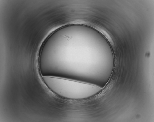X0000103151000200808221124
