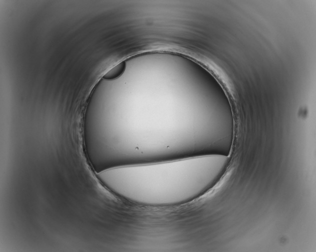 X0000103151001200808221124