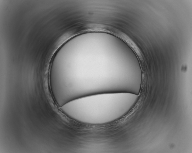 X0000103151002200808221124