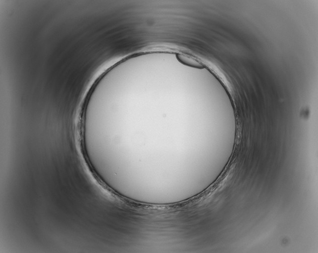 X0000103151003200808221124