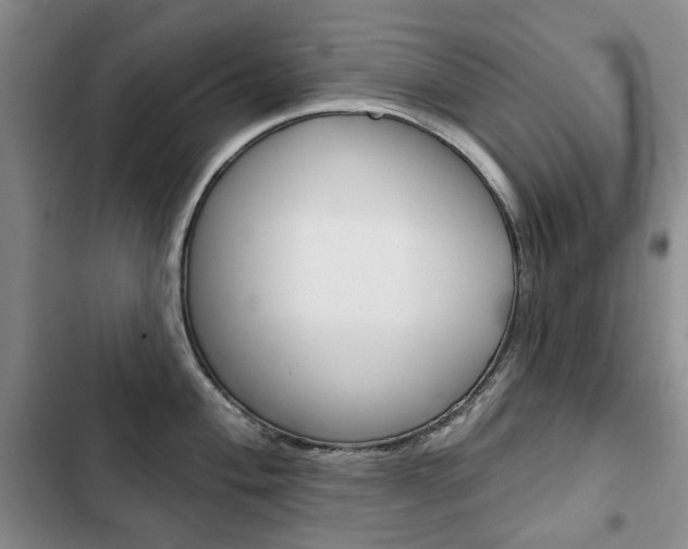 X0000103151004200808221124