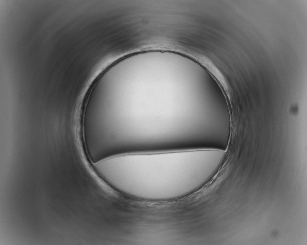 X0000103151005200808221124