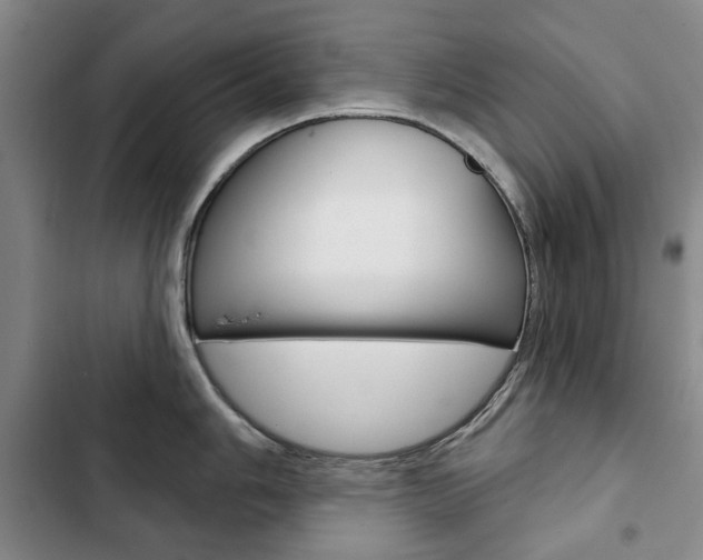X0000103151006200808221124