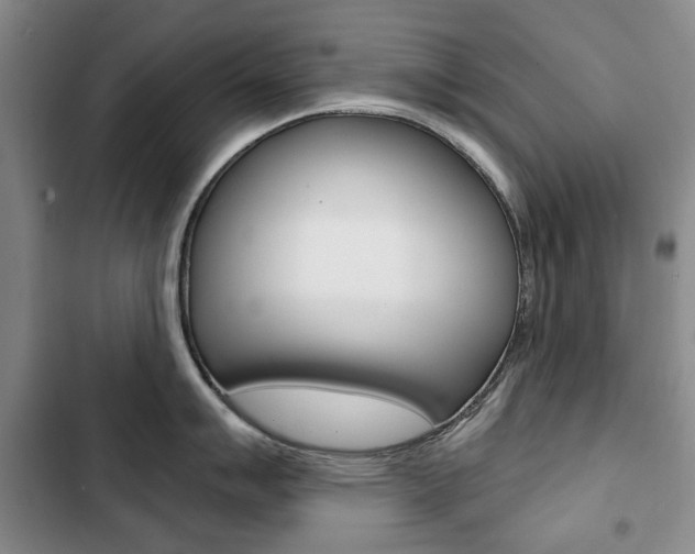 X0000103151007200808221124