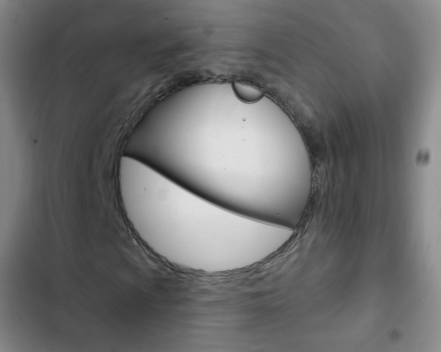 X0000103151009200808221123