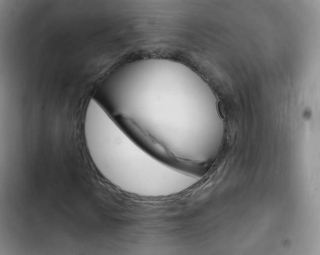 X0000103151010200808221123