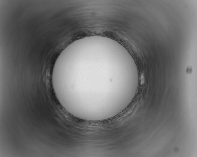 X0000103151011200808221123