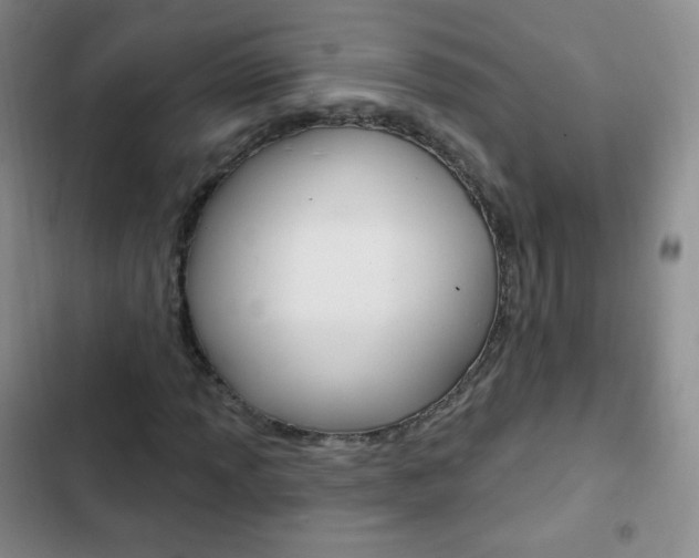 X0000103151013200808221123