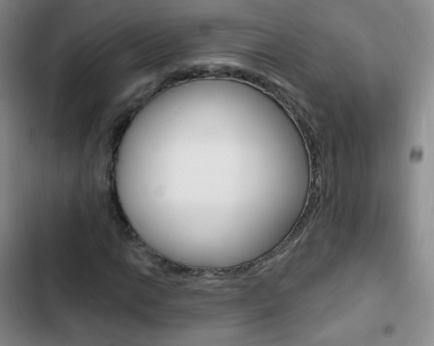 X0000103151014200808221123