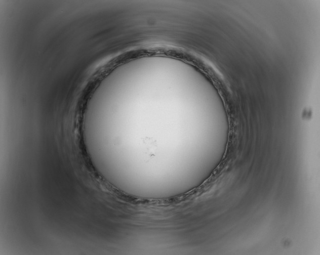X0000103151016200808221123