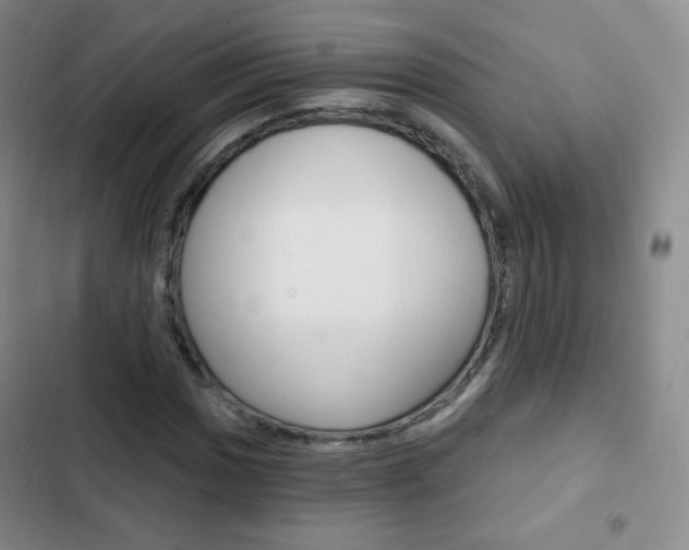 X0000103151017200808221123