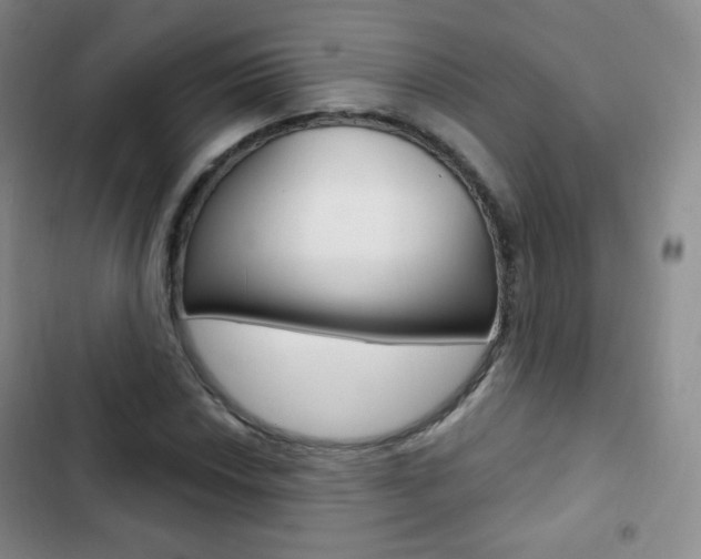 X0000103151018200808221123