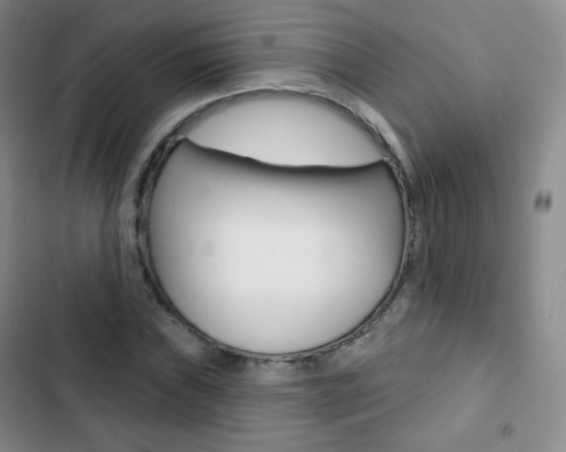 X0000103151019200808221123