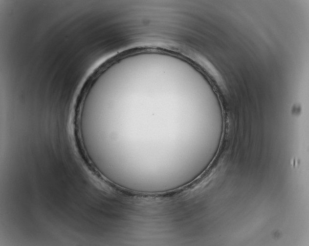 X0000103151020200808221123