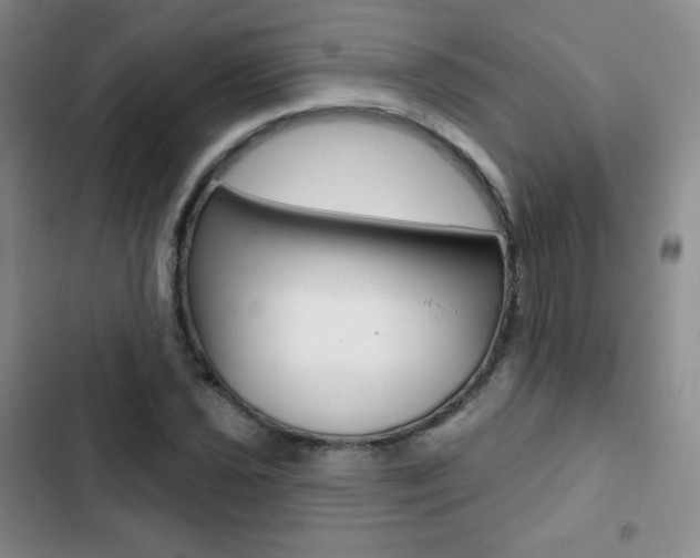 X0000103151021200808221123