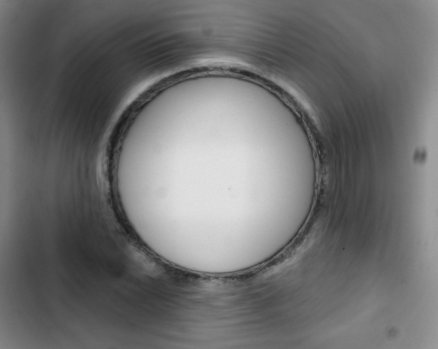 X0000103151022200808221123