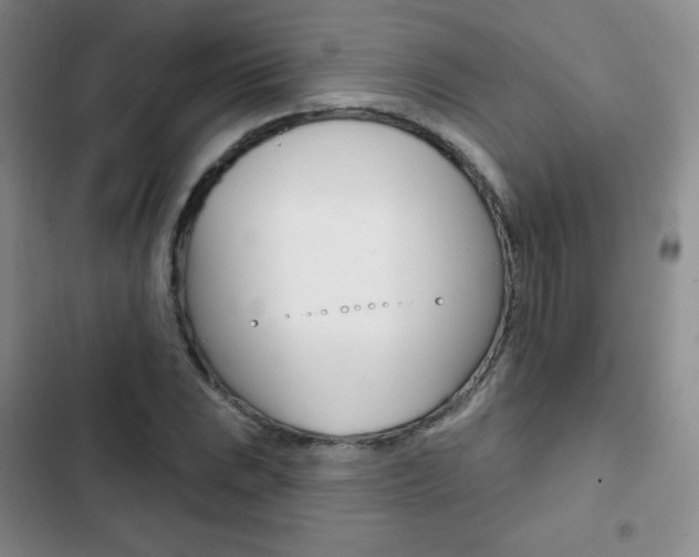 X0000103151023200808221123