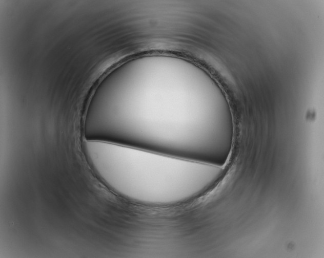 X0000103151025200808221123