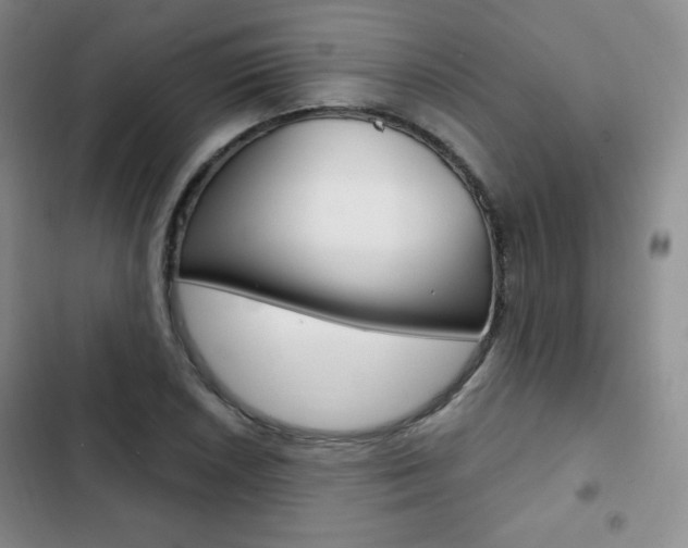 X0000103151026200808221123