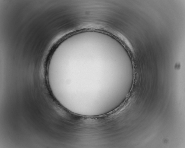X0000103151027200808221123
