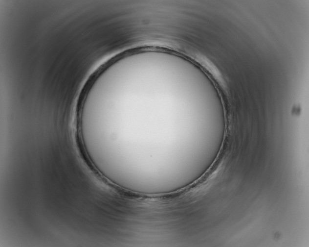 X0000103151028200808221123