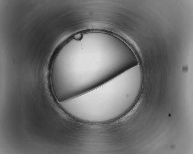 X0000103151029200808221123