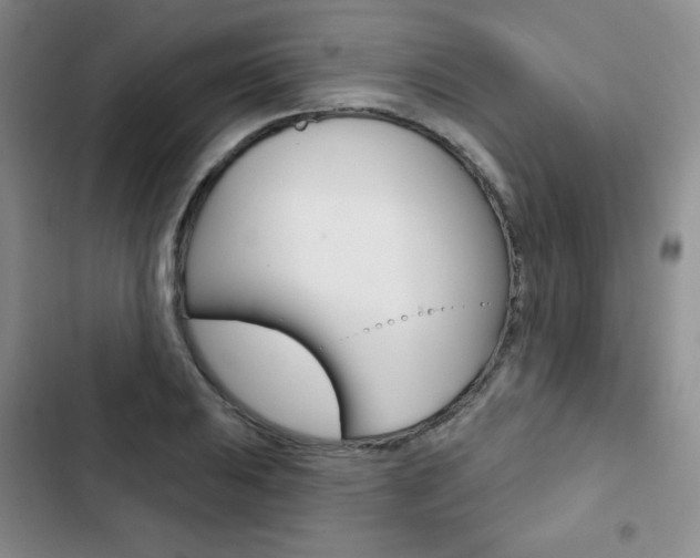 X0000103151031200808221123