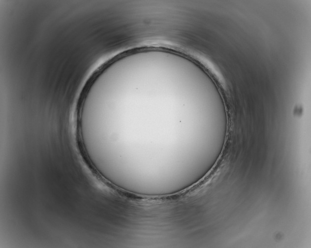 X0000103151032200808221123