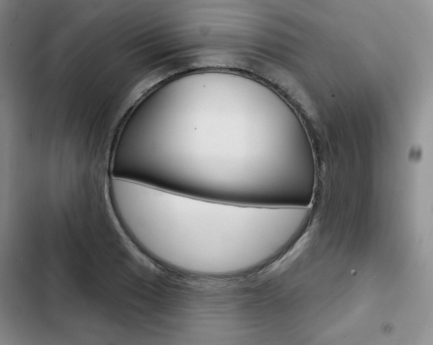 X0000103151033200808221123