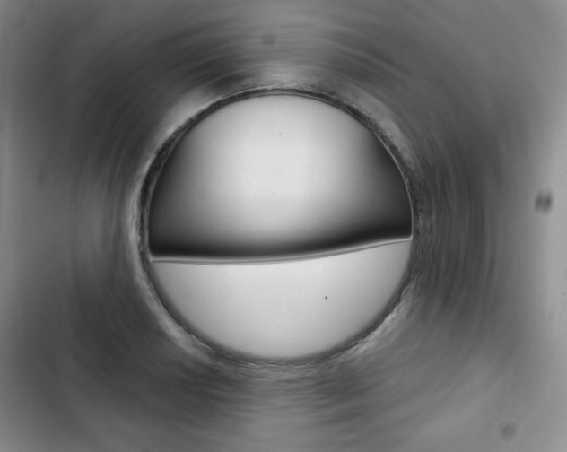 X0000103151034200808221123