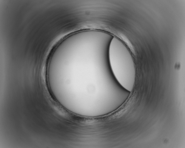 X0000103151035200808221123