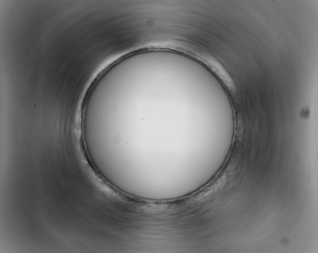 X0000103151036200808221123