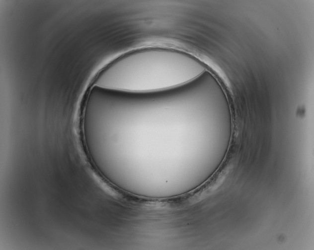 X0000103151037200808221123