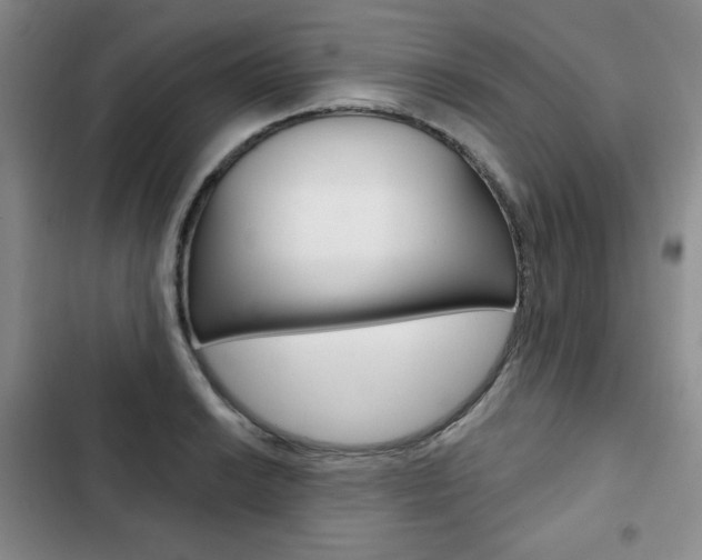 X0000103151038200808221123