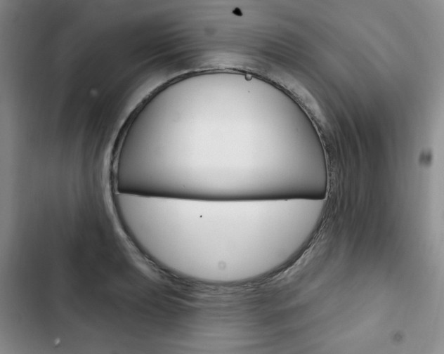 X0000103151039200808221123