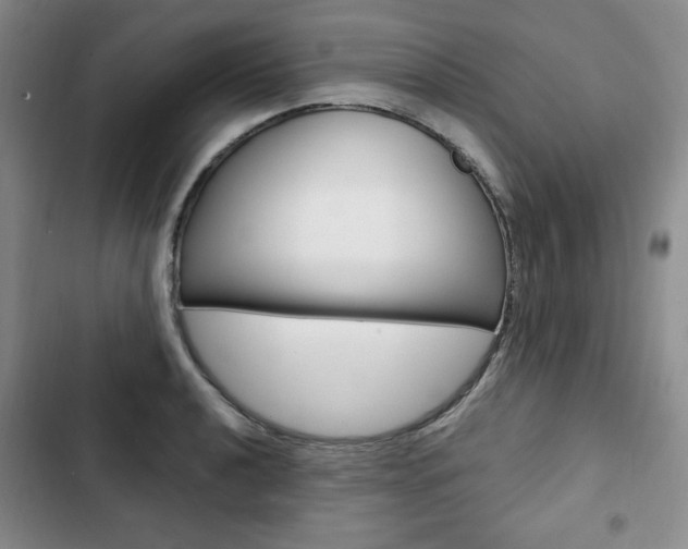 X0000103151040200808221123