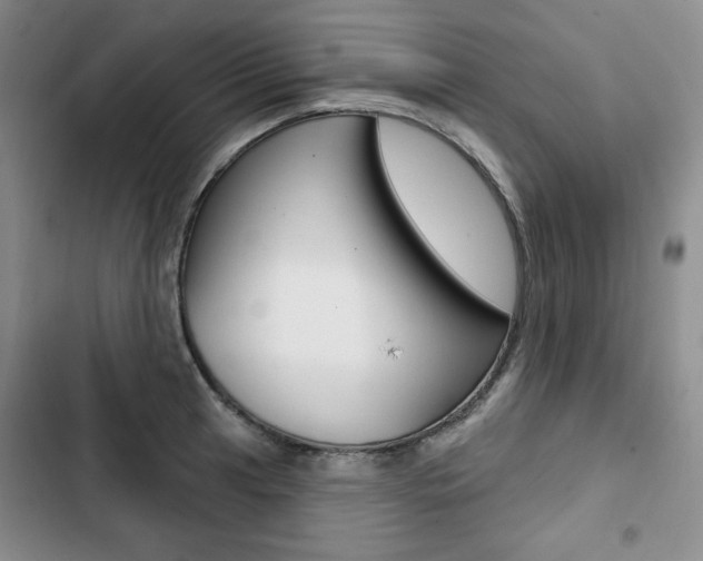 X0000103151041200808221123