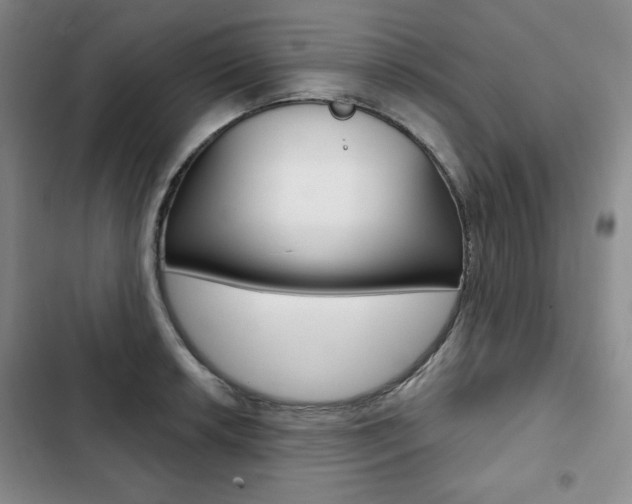 X0000103151042200808221123