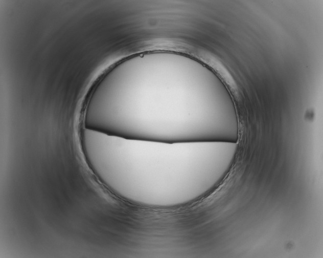X0000103151043200808221123