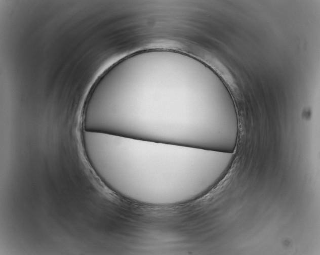 X0000103151044200808221124