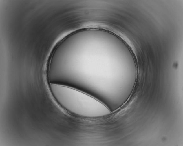 X0000103151045200808221124