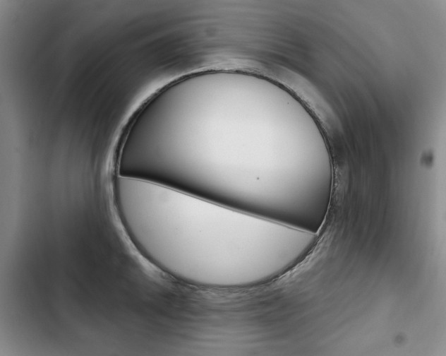 X0000103151046200808221124